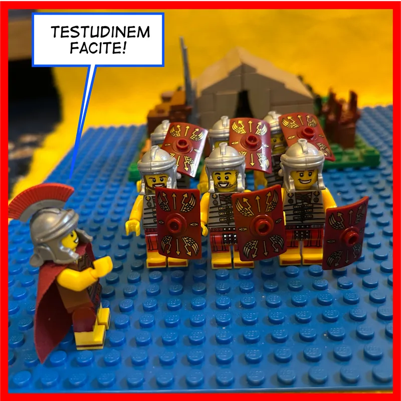 Make a tortoise!